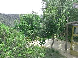 Click to enlarge!