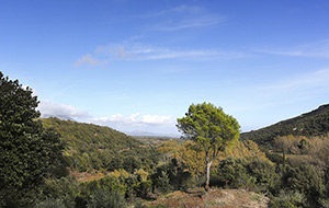 Click to enlarge!