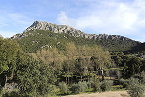 Click to enlarge!