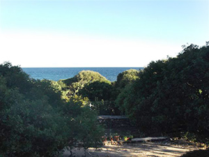 Click to enlarge!