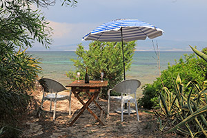 Click to enlarge!