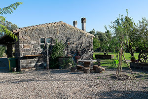 Click to enlarge!