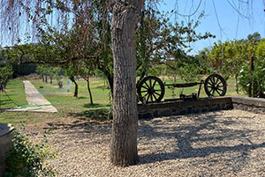 Click to enlarge!
