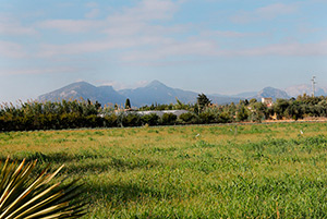 Click to enlarge!