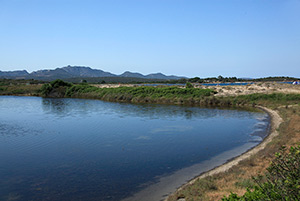 Click to enlarge!