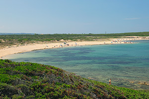 Click to enlarge!